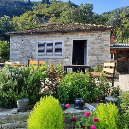 Villa Bujtina Lugina E Vjoses Përmet Exterior foto